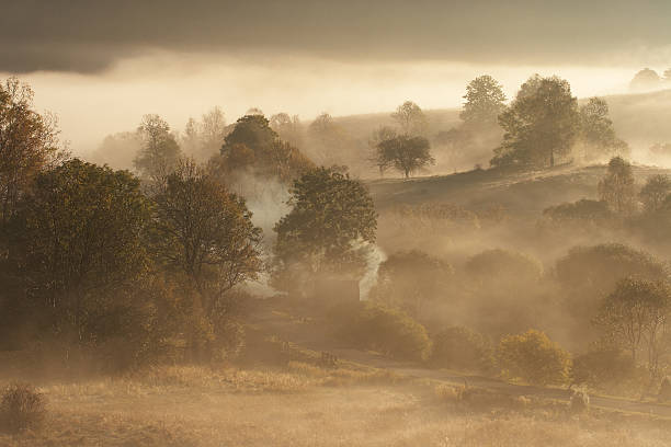 istock Sunrise with the fog 160535649