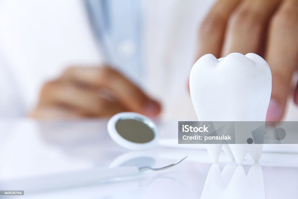 dental concept molar with dentist background ,dental concept Dentist Stock Photo