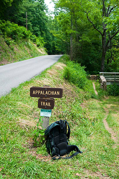 istock Backpack on the Appalachian Trail in southwest Virginia 160537638
