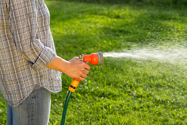 istock Woman watering the lawn 160538200