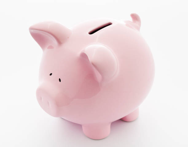 istock Piggy bank 160538244