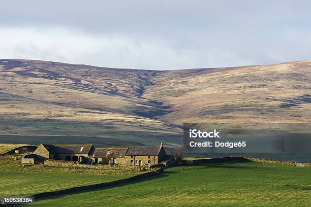 Remote Hill Farm In Northumberland Uk Stockfoto und mehr Bilder von Wales - Wales, Wohnhaus, Isoliert