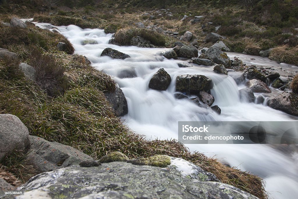 Kalte Mountain Stream - Lizenzfrei Bach Stock-Foto