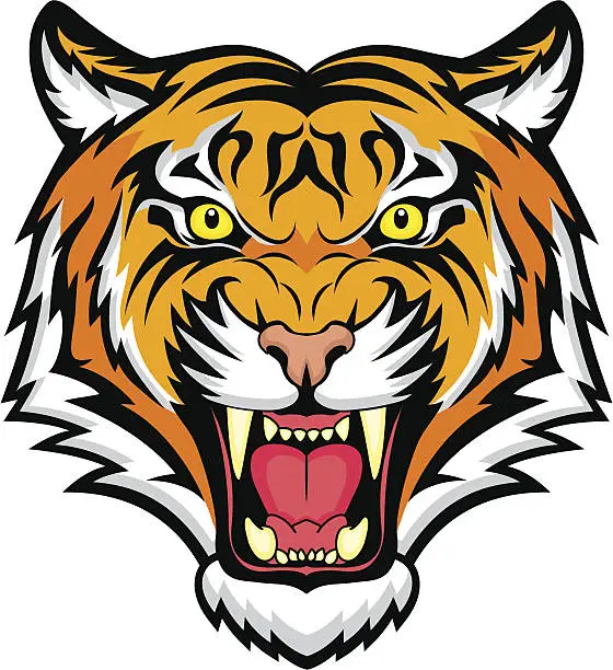 Vector illustration of An animated colorful snarling tiger