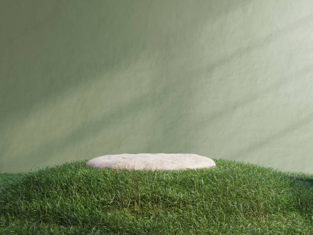 istock Rock platform in tropical forest for product presentation and green wall. 1605390415