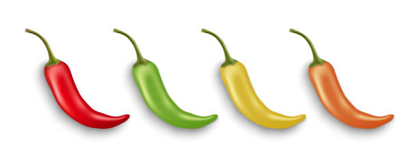 ilustrações de stock, clip art, desenhos animados e ícones de vector 3d realistic red, green, yellow and orange whole fresh and hot chili pepper closeup isolated. spicy chili hot or bell pepper design template. front view. vector illustration - mexico chili pepper bell pepper pepper