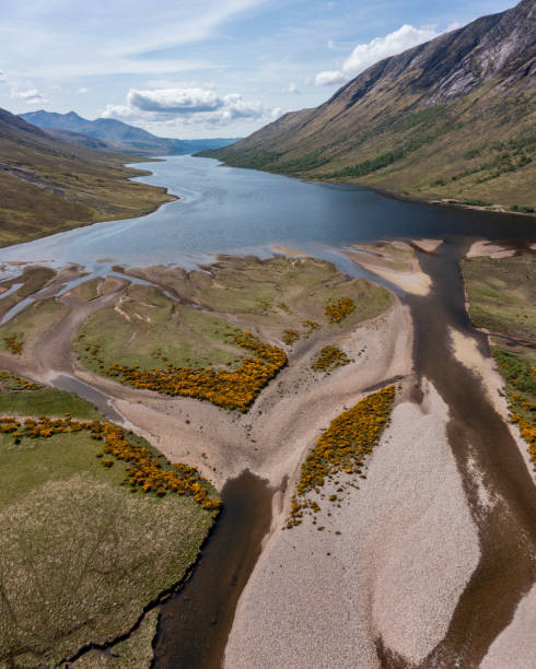 istock Loch Etive from the north end 1605396019
