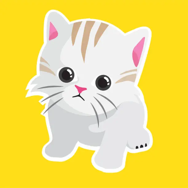 Vector illustration of Little cute Kitten staring