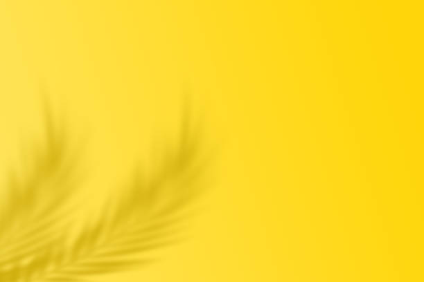 istock Shadow from palm leaves on yellow background, copy space 1605398044