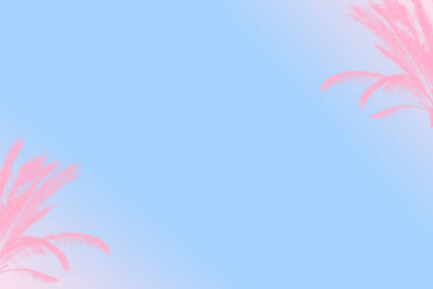 istock Pink palm leaves on blue background 1605398053