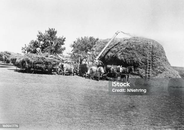 Trebbiare Retrò - Fotografie stock e altre immagini di Trebbiare - Trebbiare, 1930-1939, Fattoria