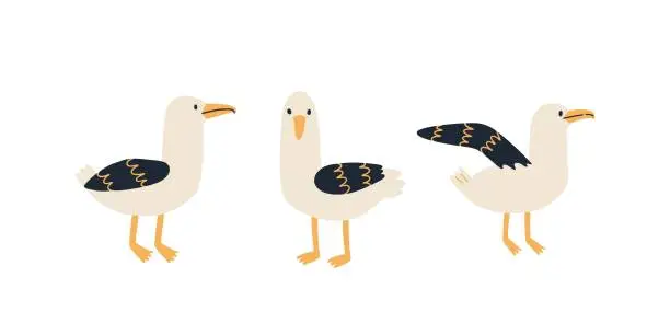 Vector illustration of set of hand drawn seagulls in flat style. vector illustration