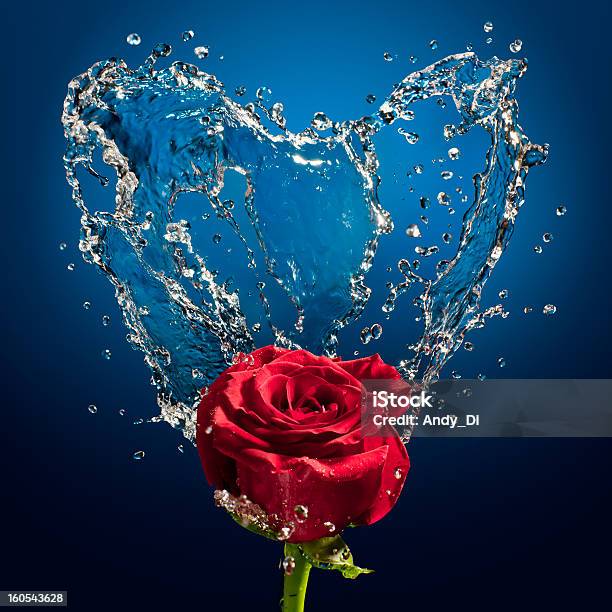 Splash E Rosa - Fotografias de stock e mais imagens de Amor - Amor, Arte, Arte e Artesanato - Arte visual