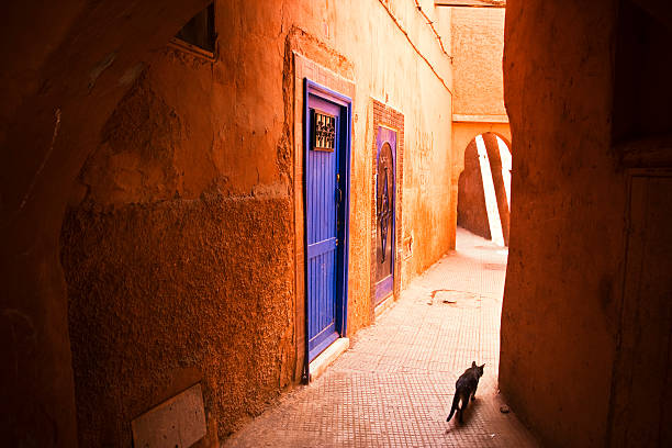 More images from Morocco in the lightbox: