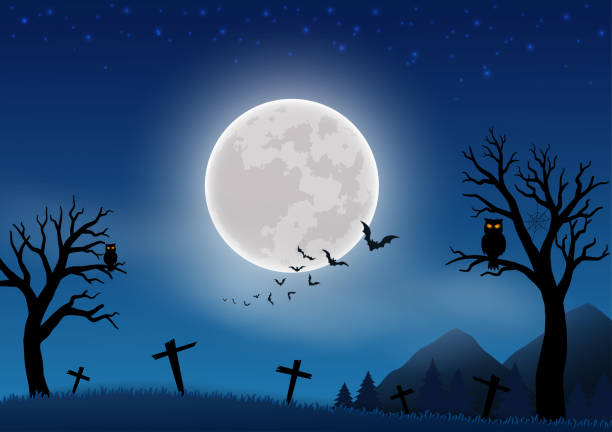 幸せなハロウィーンは、満月、コウモリ、墓地を持つ夜景の背景にテーマを祝う - halloween castle cartoon backgrounds点のイラスト素材／クリップアート素材／マンガ素材／アイコン素材