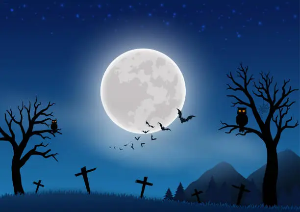 Vector illustration of Happy Halloween celebrate theme on night scene background with full moon,bat and graveyard