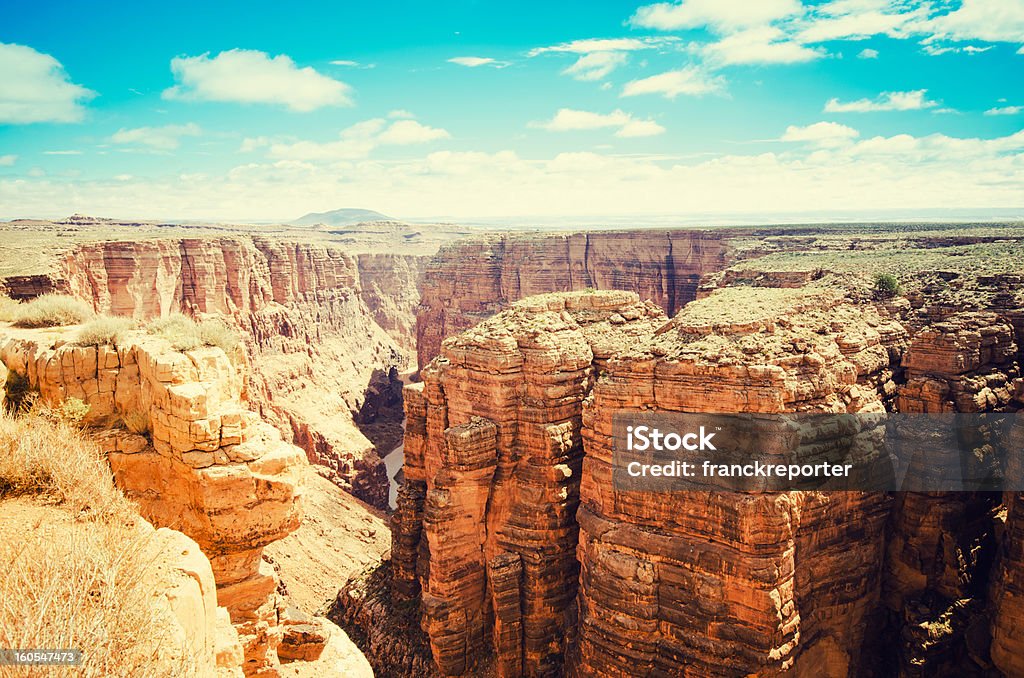 Parque Nacional do Grand Canyon no Arizona - Foto de stock de Ajardinado royalty-free