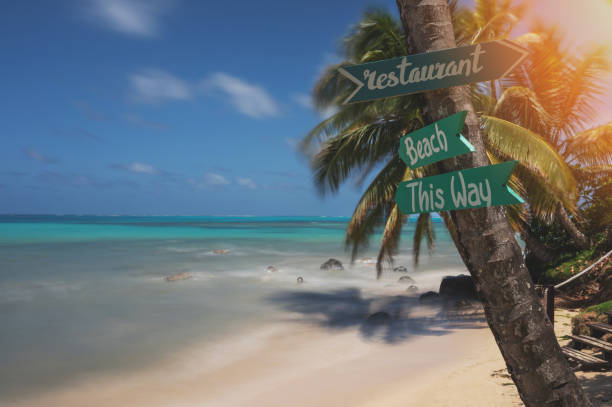 istock Arrow signs at beach palm tree 1605489628