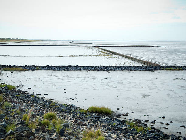 breakwater en la marea baja - schlenge fotografías e imágenes de stock