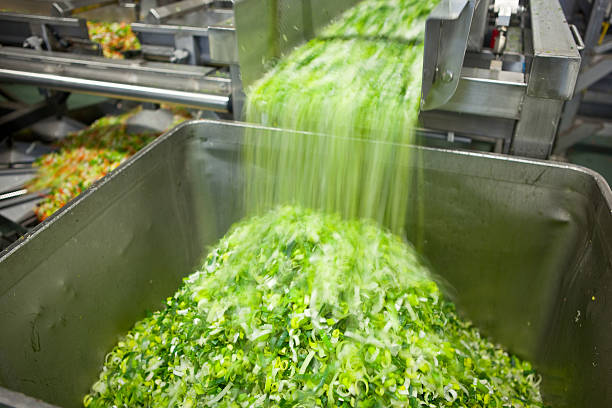 Food processing machinery stock photo