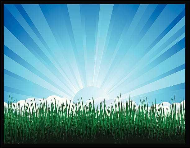 Blue Sky and Grass vector art illustration