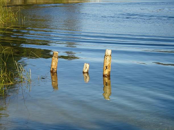 Old poles in Patagonian lake, Lago Moreno, San Carlos de Bariloche, R