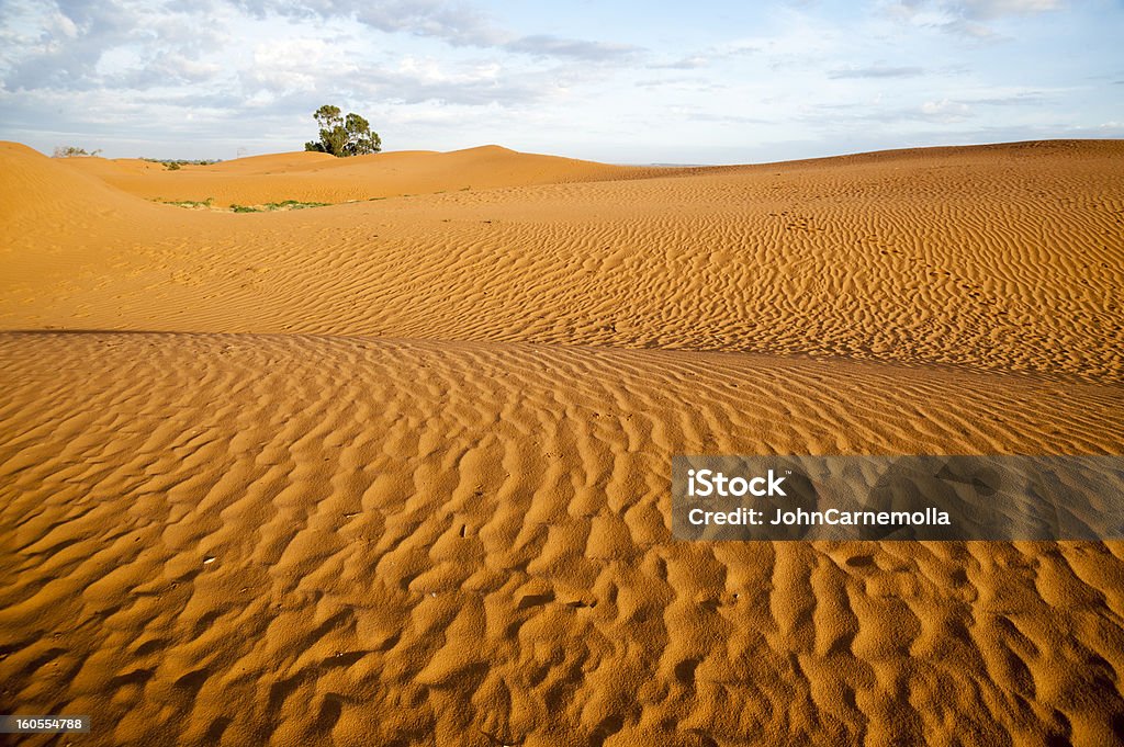 砂丘 - オーストラリアのロイヤリティフリーストックフォト