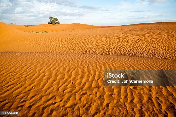砂丘 - オーストラリアのストックフォトや画像を多数ご用意 - オーストラリア, ニューサウスウェールズ州 - オーストラリア, 人物なし
