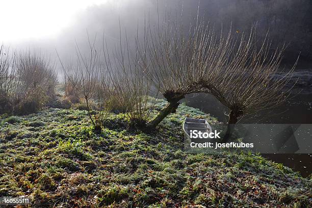 Foto de Nevoeiro De Manhã e mais fotos de stock de Antigo - Antigo, Beleza natural - Natureza, Bosque - Floresta