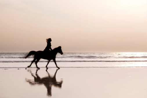 Silhouette of the girl skipping on a horse on an ocean coast on a sunset