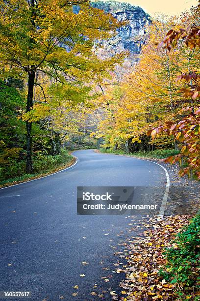 Estrada De Outono Colorido - Fotografias de stock e mais imagens de Alfalto - Alfalto, Amarelo, Ao Ar Livre