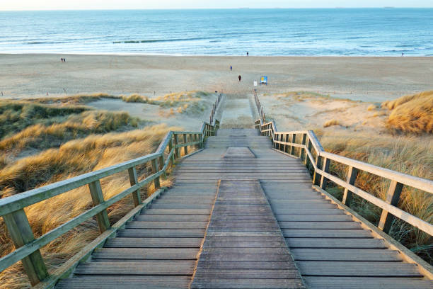 istock Coastal dunes of the Netherlands 1605578927