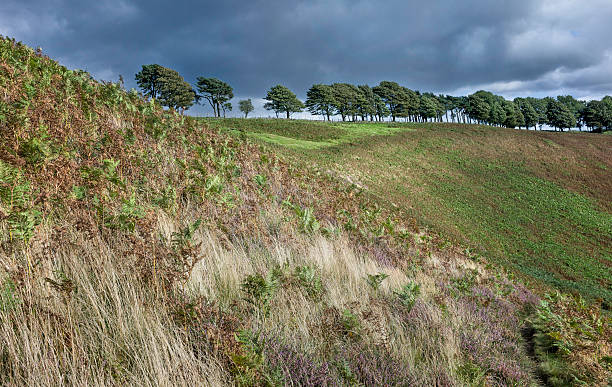 north york moors, levisham, yorkshire, au royaume-uni. - loud storm thunderstorm cotton grass grass photos et images de collection