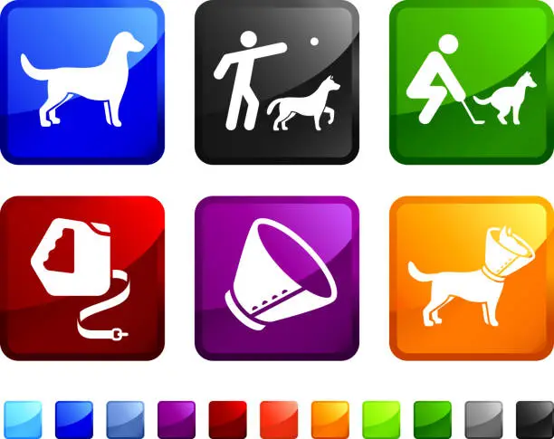 Vector illustration of New Dog Training royalty free vector icon set stickers