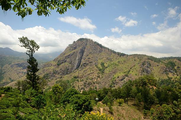 istock Panoramic view of Ella Rock, Sri Lanka 160559539