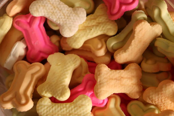 istock Vertical shot of Colourfull bone shaped Dog Biscuits treat with selective Focus 1605598879