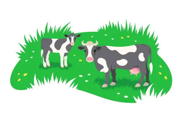 Vector illustration of Cow with calf grazing in green meadow flat banner
