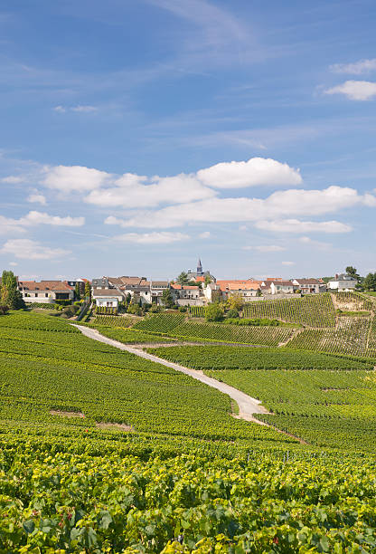 Cramant,Champagne Region,France Village of Cramant in Champagne Region near Epernay,France cramant stock pictures, royalty-free photos & images