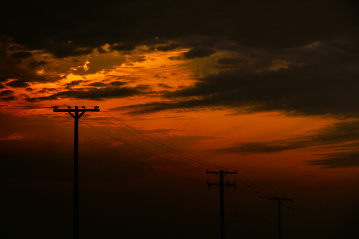 The telephone poles are silhouetted against the orange and pink sky, and the wires between them are like streaks of light. The image is both beautiful and haunting.