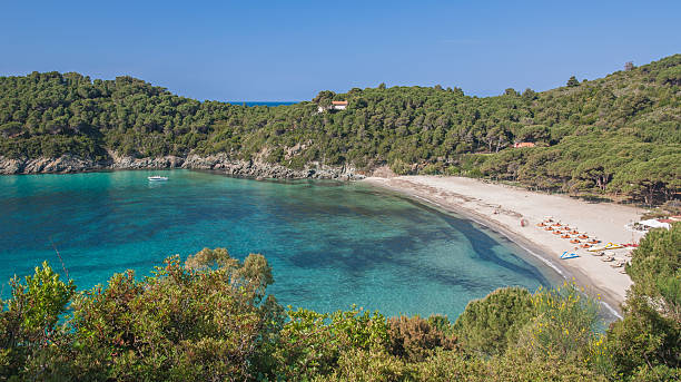 istock Fetovaia Beach,Elba Island,Italy 160563668