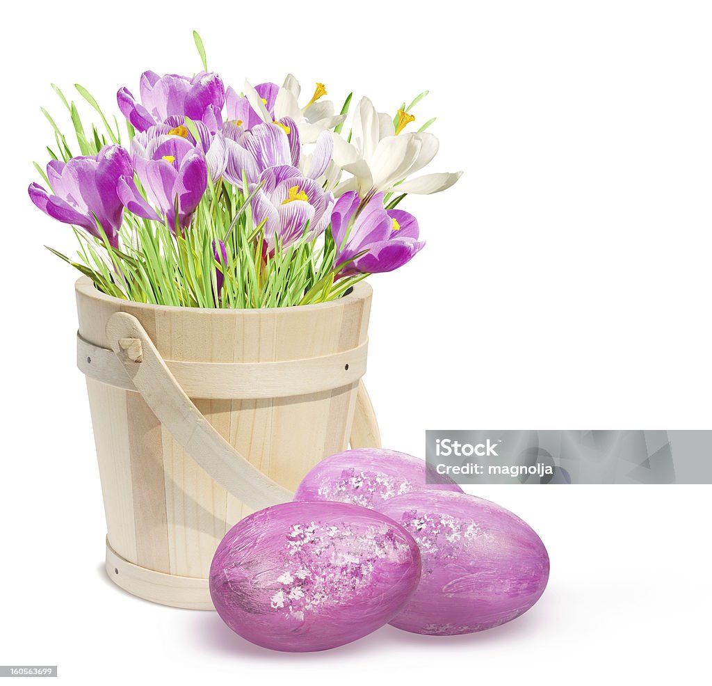 Decoración de Pascua con huevos y crocuses rosa - Foto de stock de Barril libre de derechos