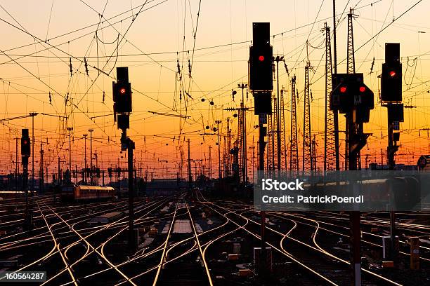 Intertwined Railroad Tracks With Traffic Lights At Sunset Stock Photo - Download Image Now