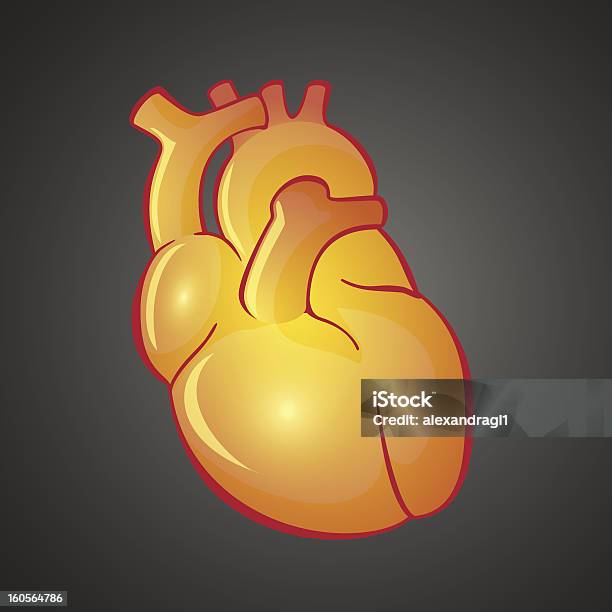 Gráfico Ilustração Do Coração - Arte vetorial de stock e mais imagens de Amarelo - Amarelo, Anatomia, Aorta