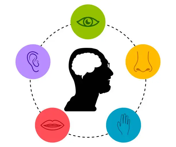 Vector illustration of Icon of the five senses.