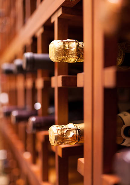 botellas de champán - vertical wine bottle variation rack fotografías e imágenes de stock