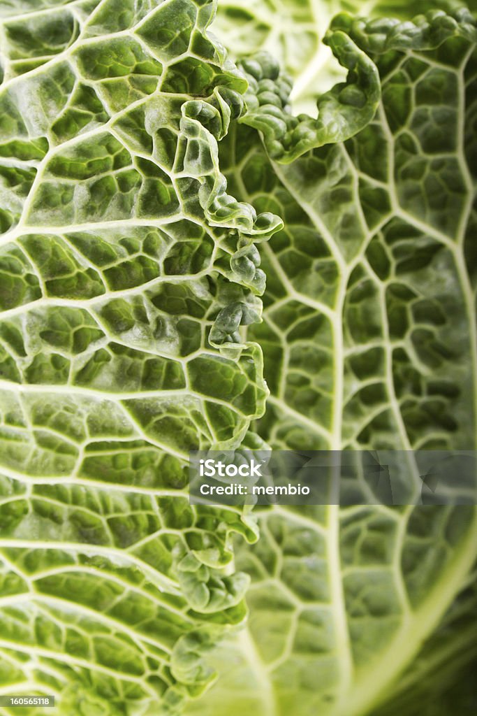 Frische savoy cabbage - Lizenzfrei Bildhintergrund Stock-Foto