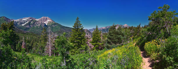 Ogden Utah landscape with mountains and blue sky. Ogden Utah landscape with the city in the middle of lush trees viewed from a hill. Immense mountains and bright blue sky is in the background.