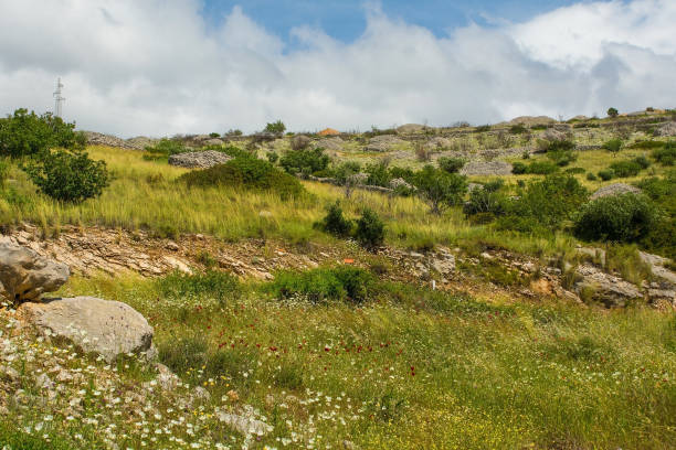 istock Landscape Near Bobovisca, Brac Island, Croatia 1605652654