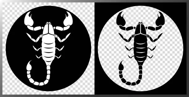 Vector illustration of Scorpion icon.