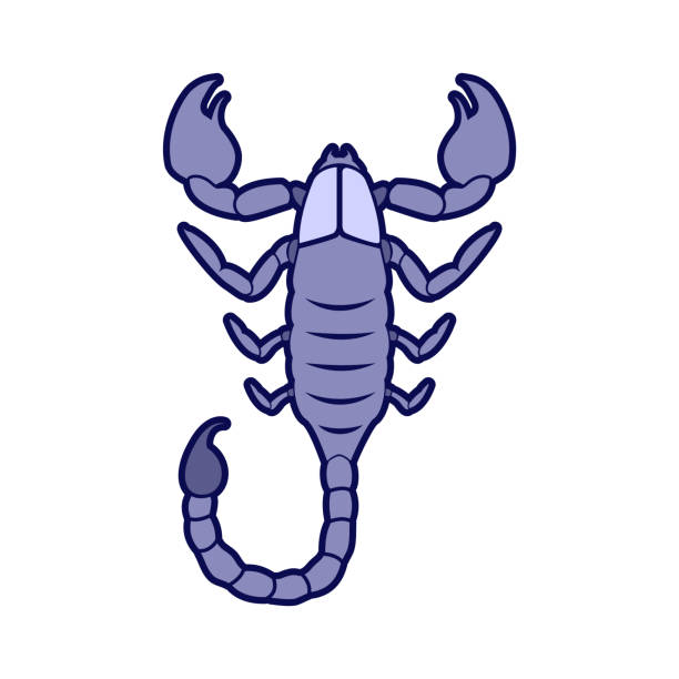 Scorpion icon. Vector illustration in HD very easy to make edits. scorpions drawings stock illustrations